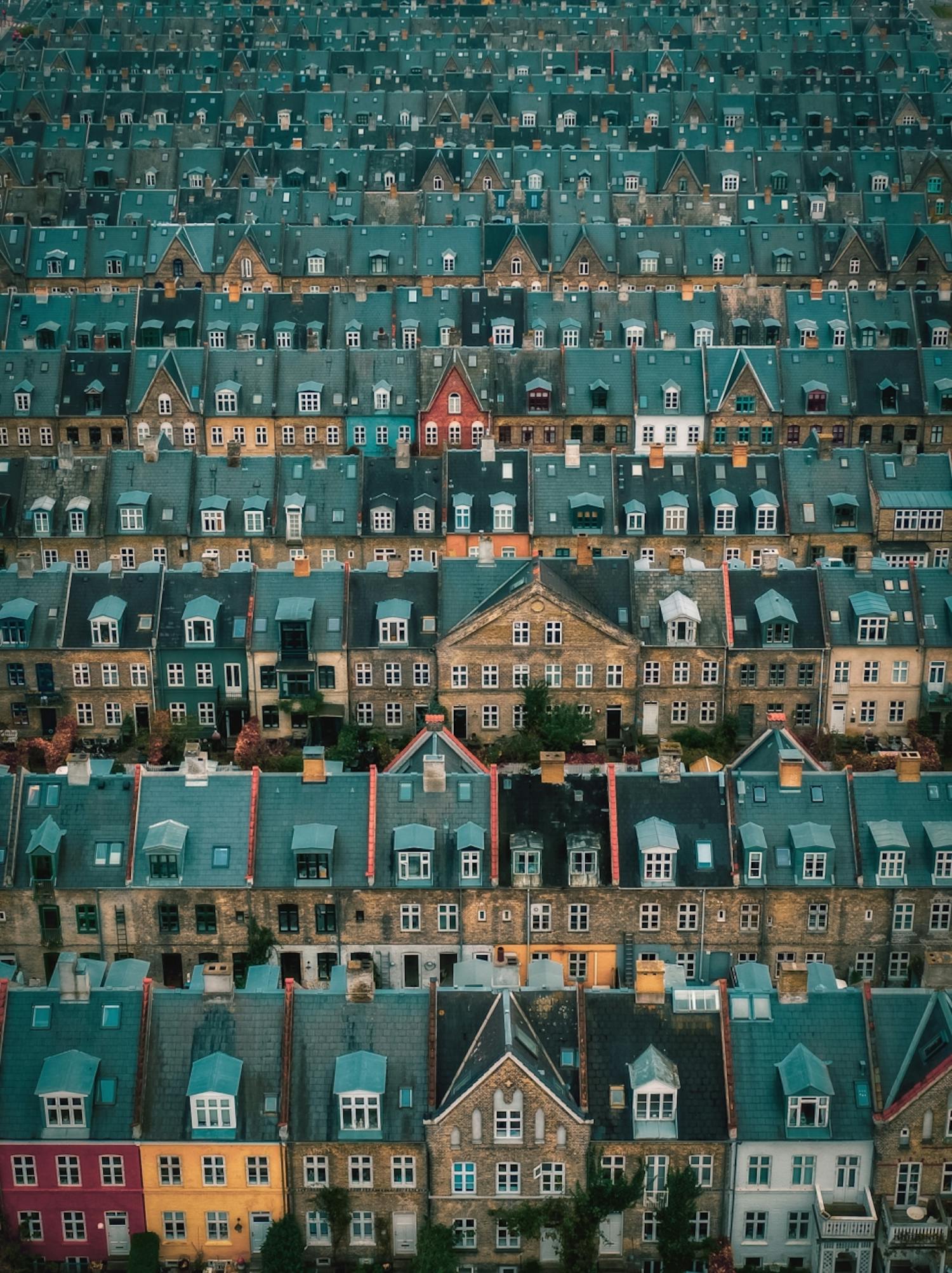 Kartoffelraekkerne i Köpenhamn Årets bästa drönarfoto i kategorin ”Urban”.